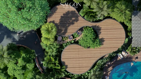 Cầu Gỗ Ven Hồ & Lối Dạo Bộ Thủy Trúc (Top View)