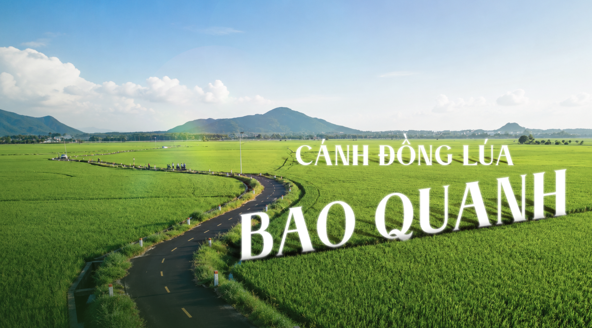 Đờn Ca Tài Tử Nam Bộ