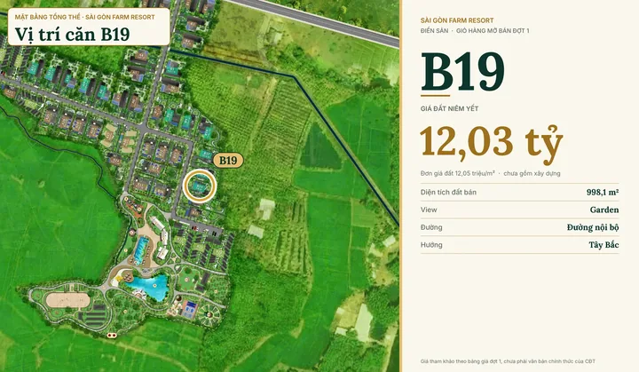 Bảng giá & Vị trí Lô B19